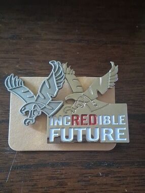 EWU Eastern Washington University Eagle Pins (2) - Silver & Gold with Red Accent